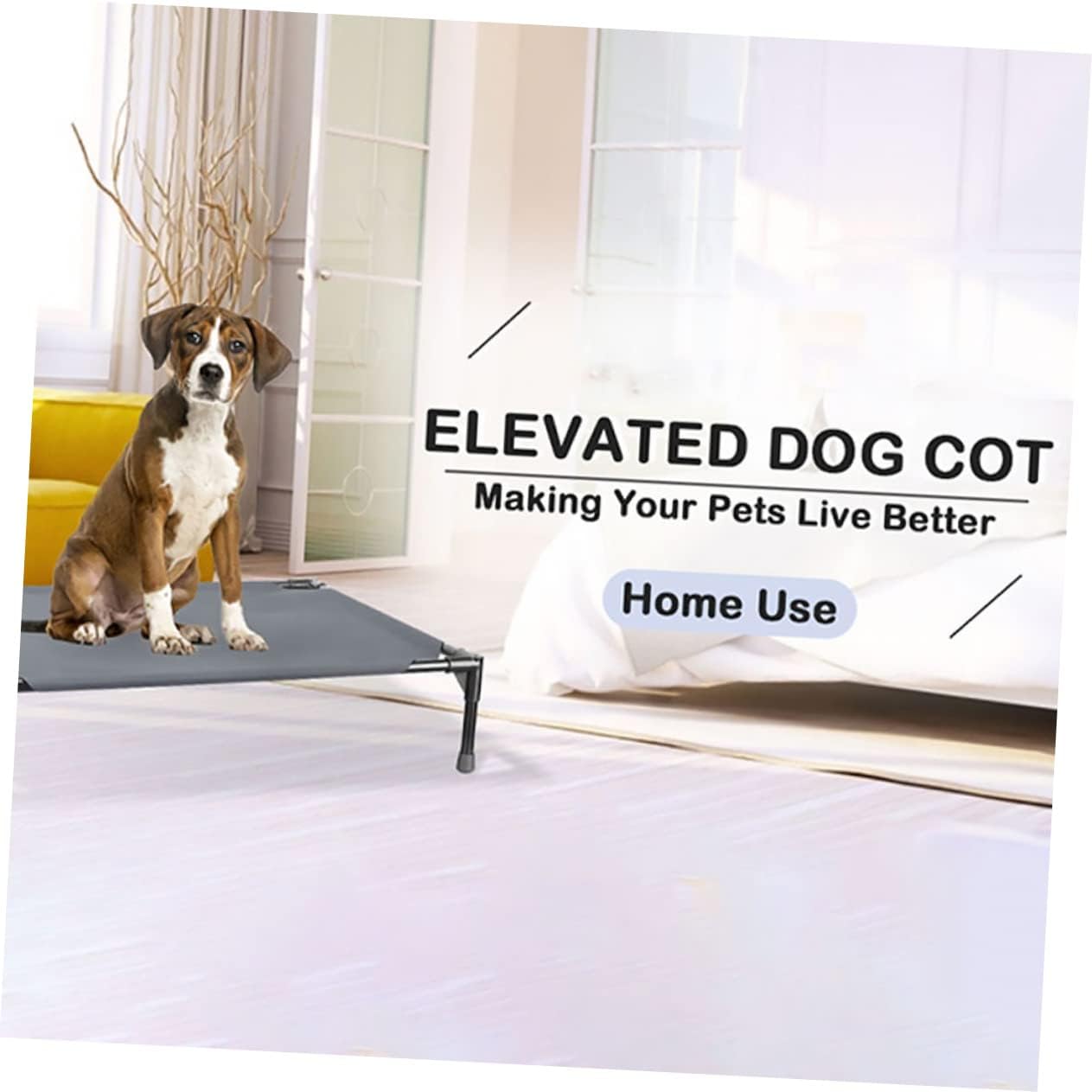 Elevated Dog Bed for Dogs Washable Raised Pet Cot Home Outdoor Sleep Nest