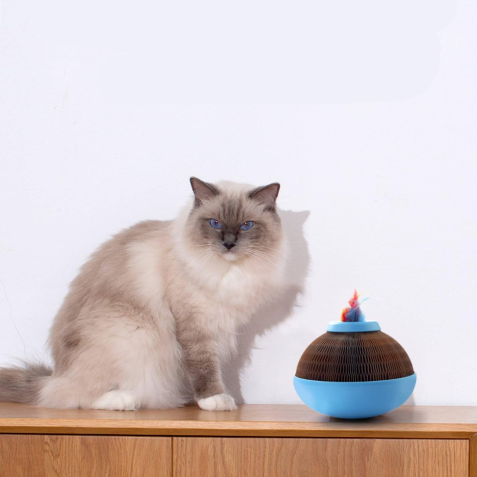 Feline Interactive Elektronisches Katzenspielzeug Kugel Kratzkugel mit Federteaser aus Karton für Wohnungskatze Aktivspiel Beschäftigung Geschenk Zuhause Indoor Bewegung163mm