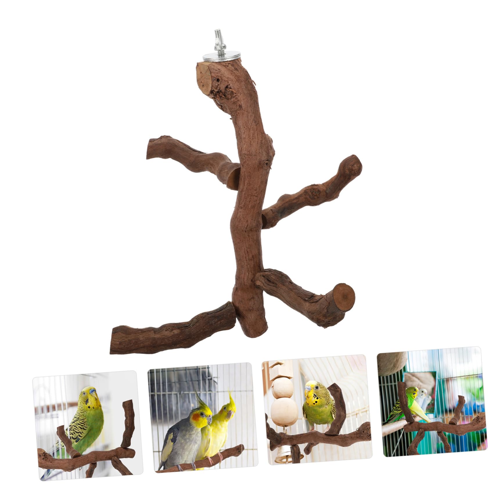 Vogel Stehstock aus Natürlichem Holz für Papageien mit Harter Struktur und Bissfestem Design als Spiel und Kletterstation für Vögel in Braun