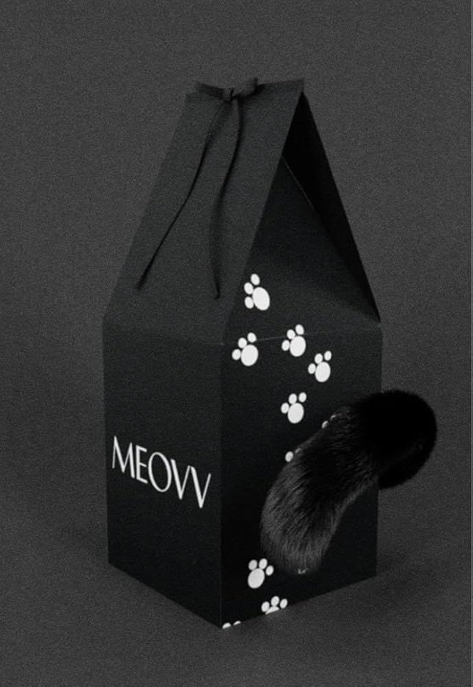 Amazon.co.jp: MEOVV ミャオ 韓国ポップアップ ブラックテイルキー