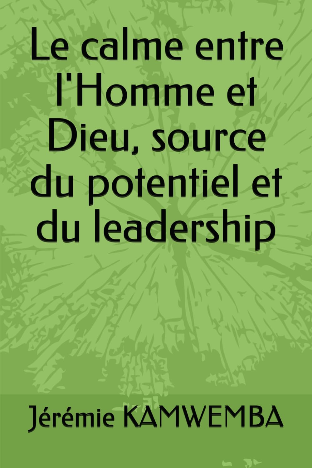 Le calme entre l'Homme et Dieu, source du potentiel et du leadership