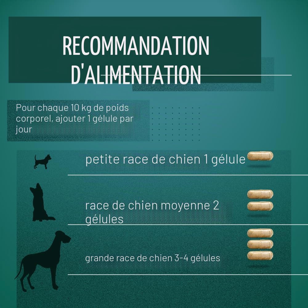 Tierlieb Lot de 150 Capsules de Moule à lèvres Vertes pour Chien