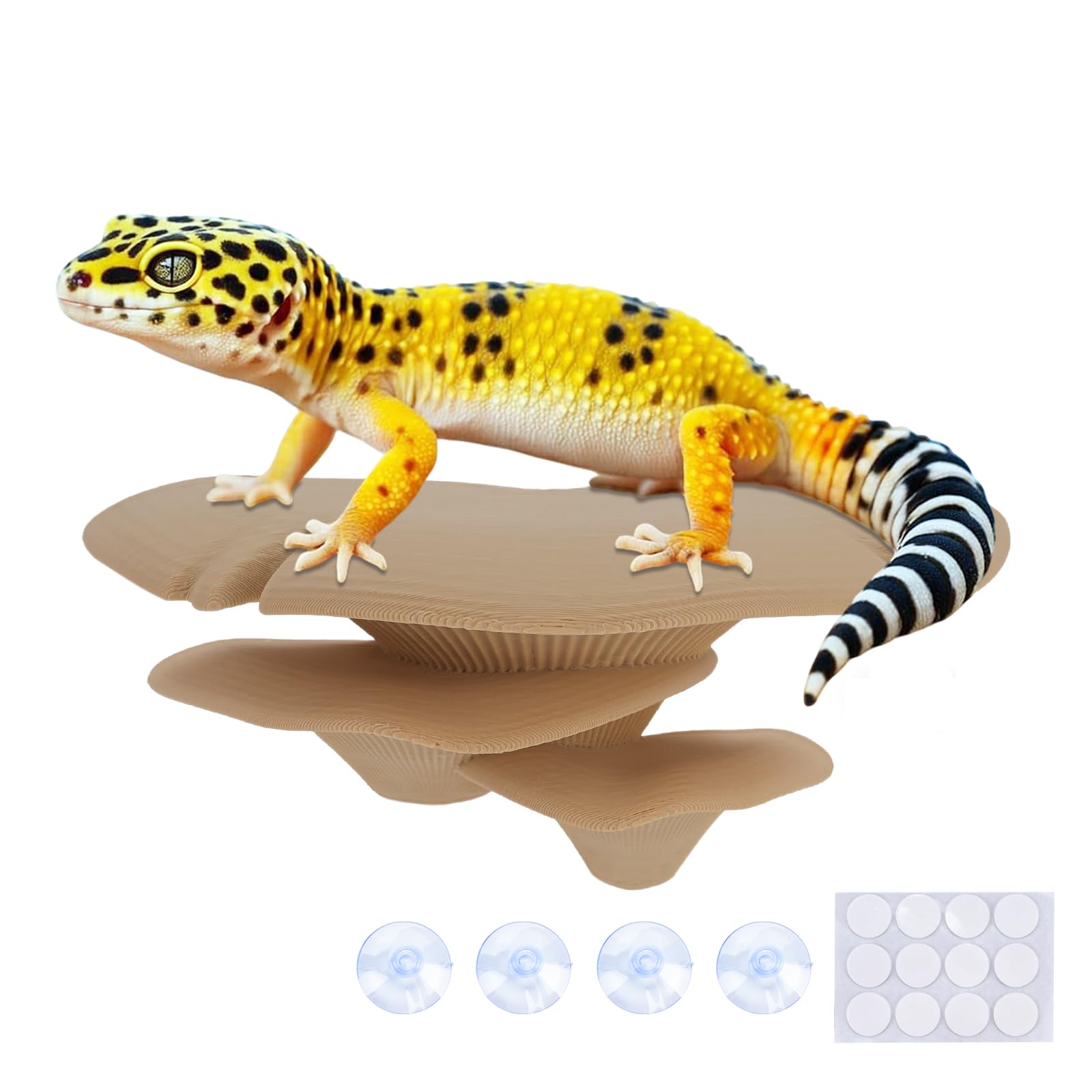 Plantes de terrarium réalistes sans danger pour gecko et lézard