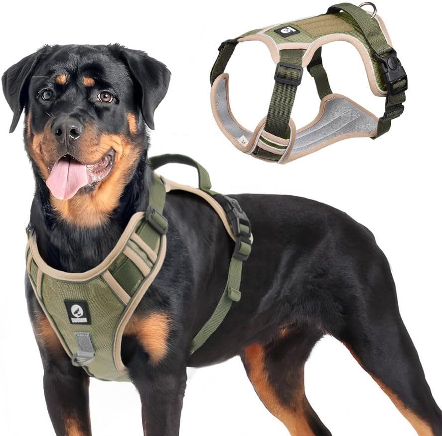 Yacel Köpek Tasması ve Gezdirme Halatı Göğüs ve Sırt Setli (Refle...