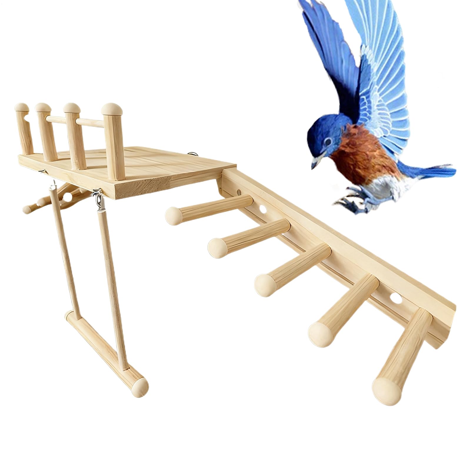 Perchoirs à oiseaux pour cage favorisant l'activité des perruches et pinsons