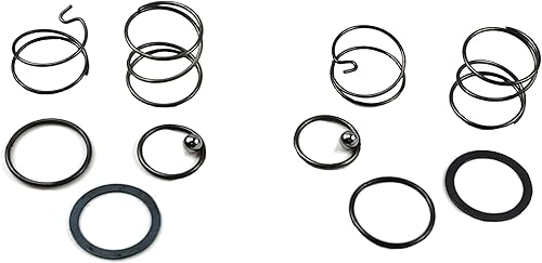 Miniatura 2 de Palart N078434 Kit de resorte para llave de impacto de 20 V DCF885 DCF886 de repuesto de resorte y bola, kit de resorte de impacto y bola (2 piezas)