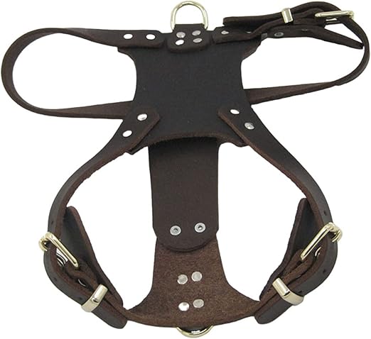 Amazon Co Jp Kangyebaihuodian レザードッグハーネス本革ハーネスフィット犬のためのリアルレザーハーネス犬大きい大きな 犬ハーネス犬の革のラブラドールにフィット Color Brown Size Xl ペット用品