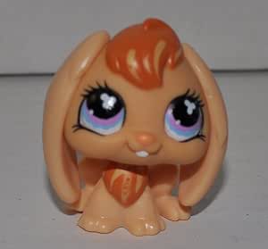 Amazon.com: Rabbit #480 (Orange) - Littlest Pet Shop (Retired ...