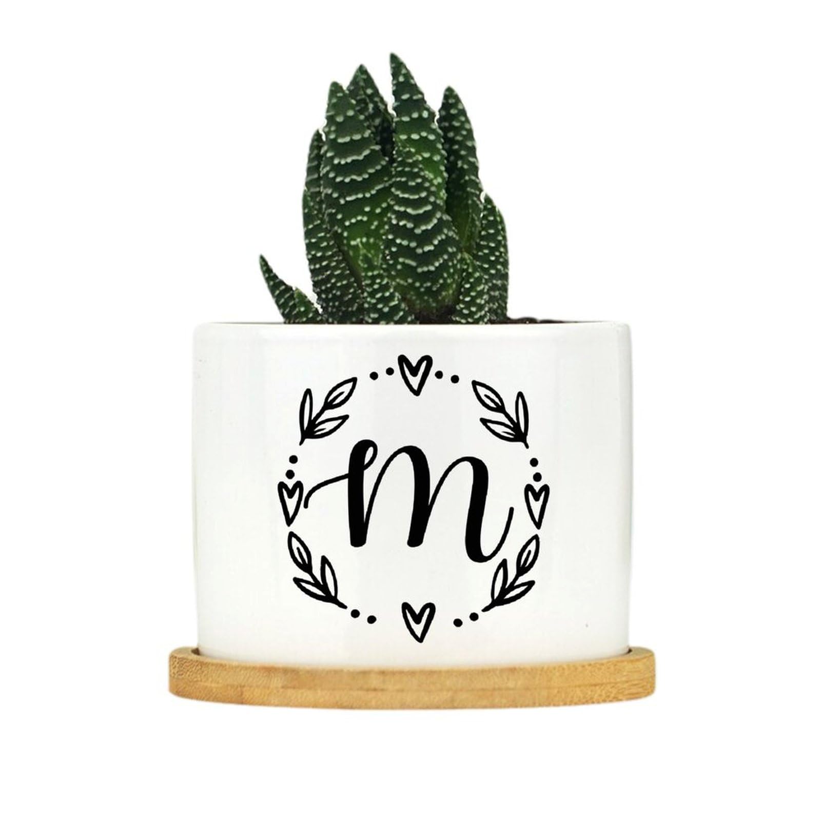 Amazon.com: Evans1nism Initial Letter M Planters for Indoor