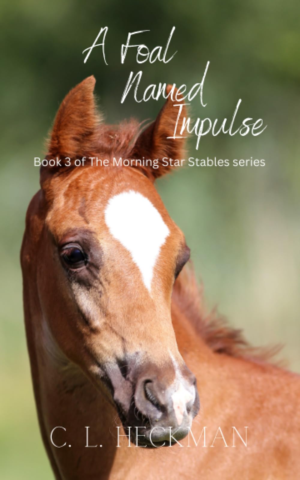 A Foal Named Impulse: Book 3 of The Morning Star Stables series