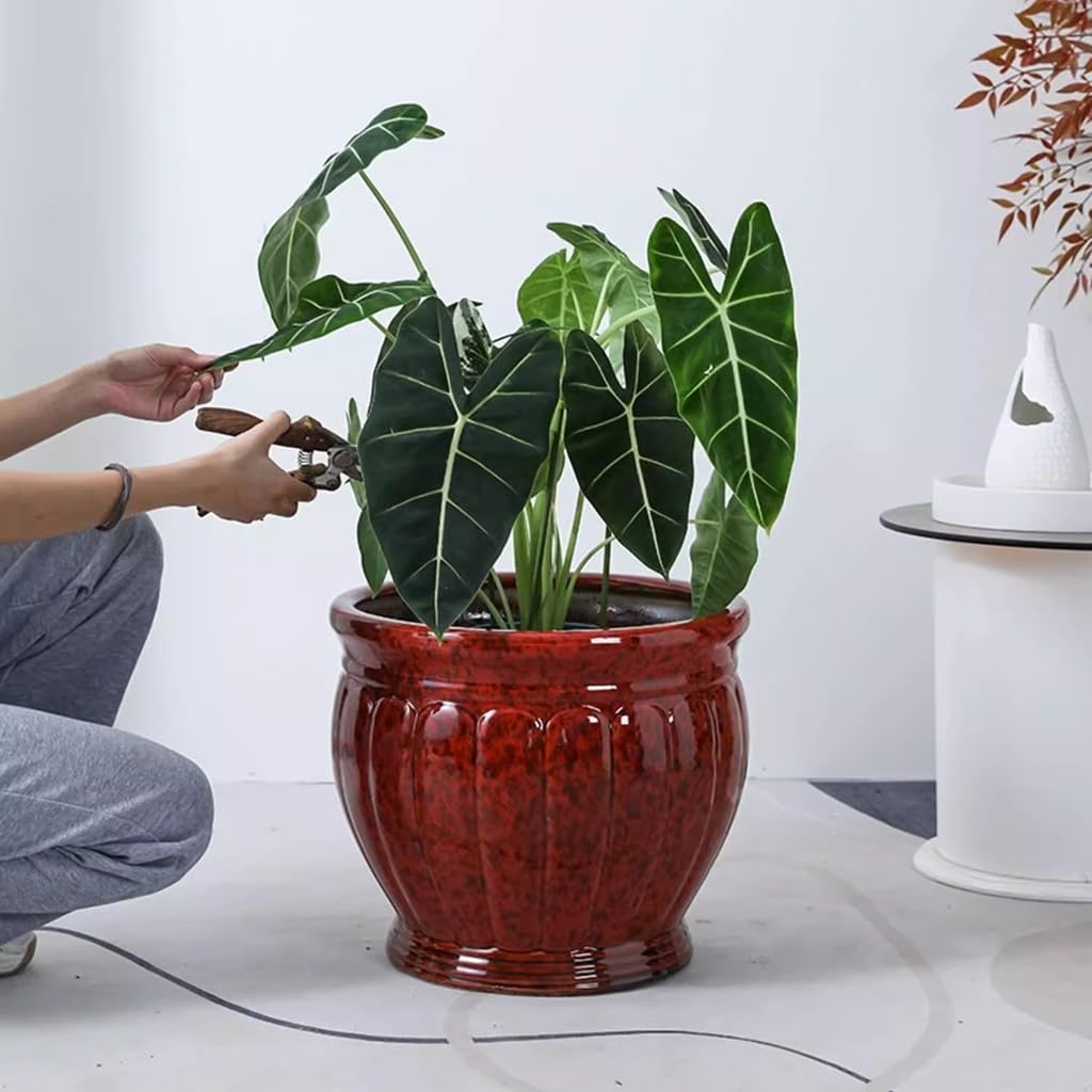 Amazon.com : FGJKKRMI Large Ceramic Plant Pots Red Outdoor Indoor