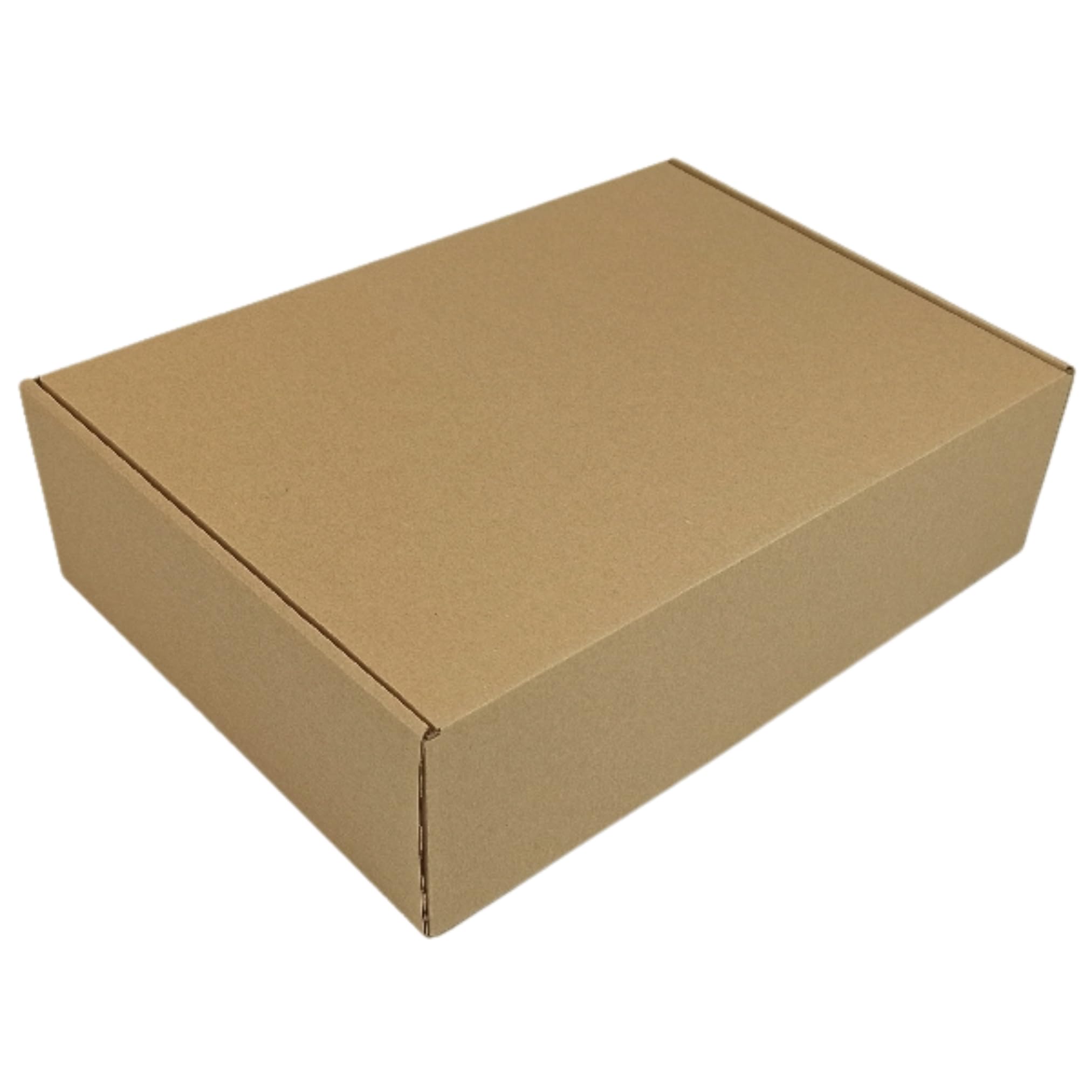 Faltschachtel 333 x 240 x 94 mm (50)