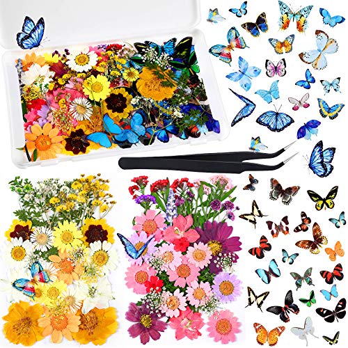 Set de Pegatinas Naturales Flores Secas Presionadas y Mariposas miniatura 1