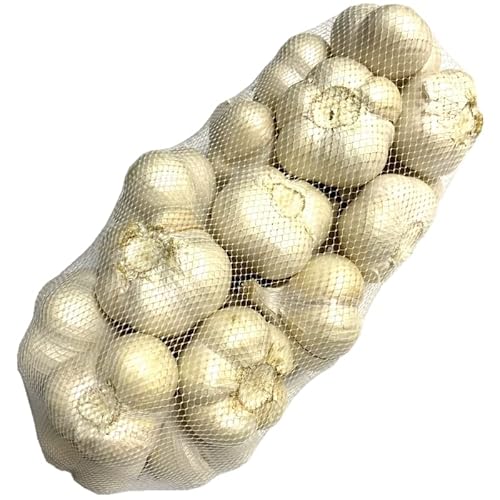 青森県産にんにく B品 2Lサイズ 1kg