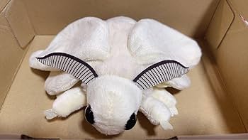 Amazon.co.jp: 昆虫 MANIAC 限定 オリジナル 蚕蛾 カイコ かいこ