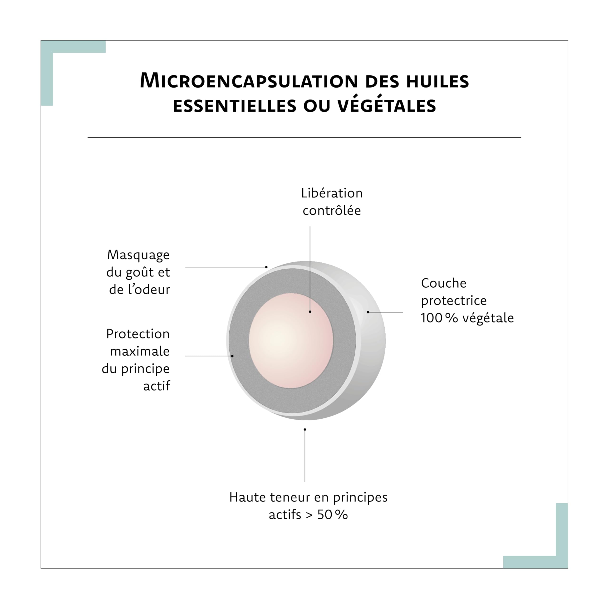ARAGAN - Synactifs Lot de 2 FlexProtect - Complément Alimentaire Articulations - Collagène, Acide hyaluronique, Bambou, Cuivre - 120 gélules - 1 à 2 mois de prise - Fabriqué en France