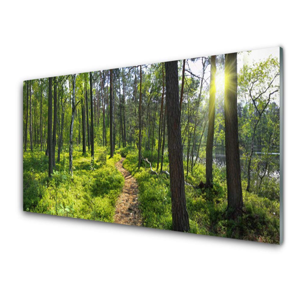 Tableau mural moderne en verre trempé 100x50cm pour salon design nature forêt