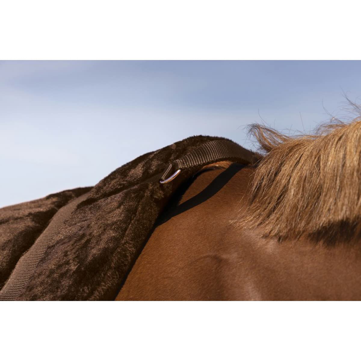 Equithème Norton Confort Tapis de Monte à cru Marron Cheval