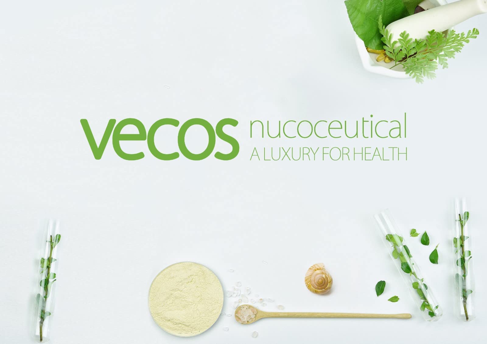 Enzimas Digestivas con Probioticos con Alta Concentración de Papaína, Bromelina y Digezyme | Probioticos y Prebioticos Intestinales para Mejorar la Digestión | Apto VEGANOS | 120 Cápsulas