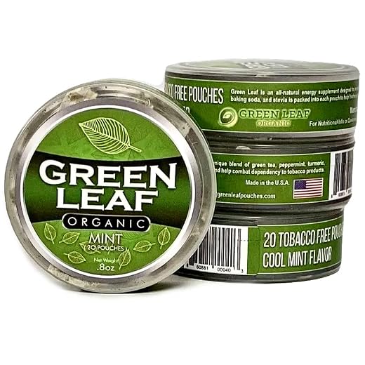 Green Leaf Organic - Tobacco Free Chew Pouches Cool Mint Flavor - Includes Turmeric Root Powder & Baking Soda - Tobacco Free Chew Pouches Made in The USA - 3 Packs of 20 Nicotine Free Dip Pouches