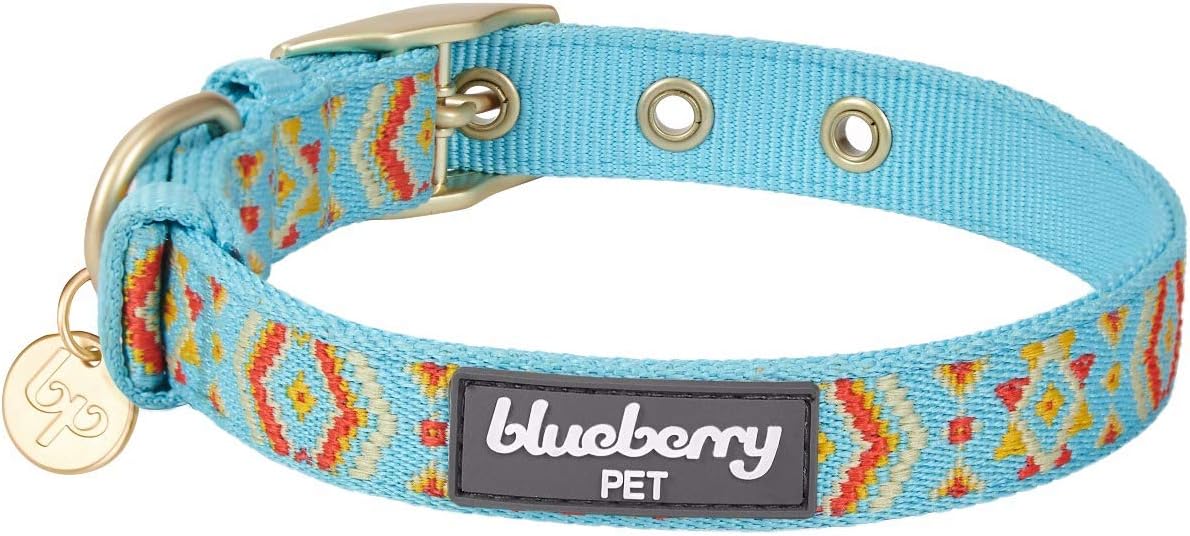 Blueberry Pet Southwestern Tribal Print Celeste Blue Adjustable Dog Collar with Metal Buckle, Neck 13-16.5″, for Medium Breed