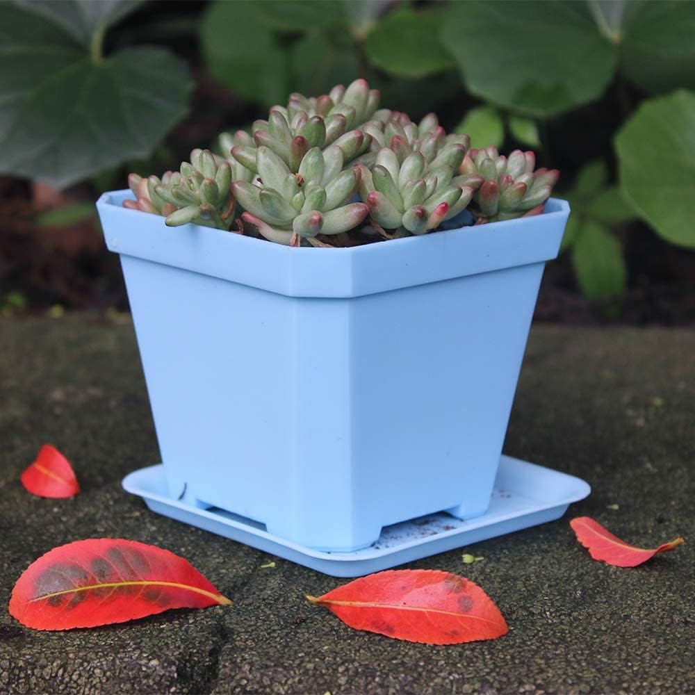 BangQiao 10 Pack 3.90 Inch Multi Color Square Plastic Plant Pots,Seedling Nursery Transplanting Planter Container