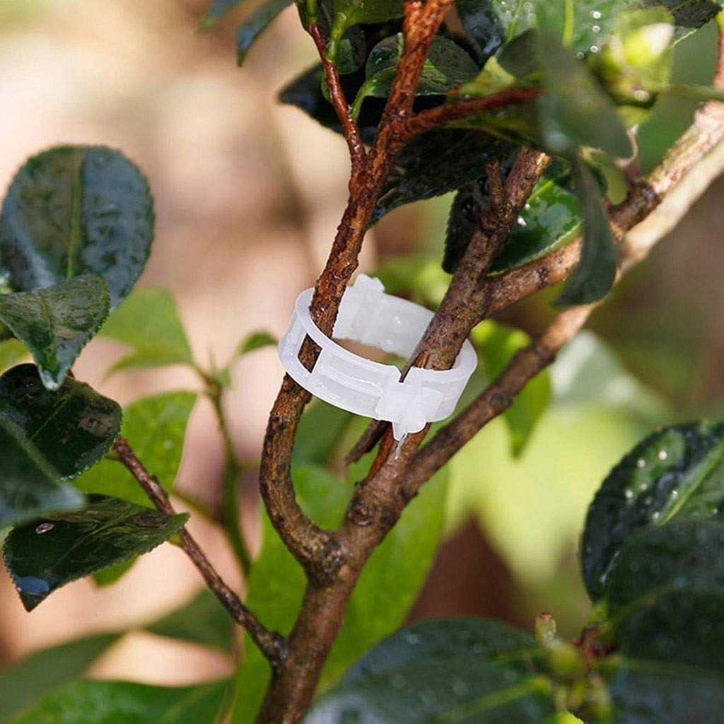 Lot De 50/100/150 Clips Pour Plantes Pour Tomates - Supporte La Sécurité Des Plantes - Pinces Solides Pour Fixation Des Plantes Grimpantes
