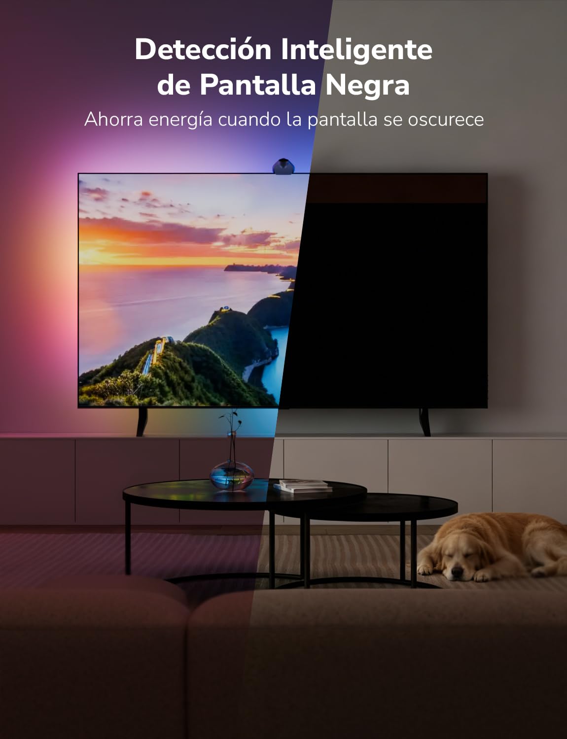 Lepro STV1 AI Tira LED TV Backlight con Cámara,3.6m para TVs 55-65 Pulgadas | Sincronización Pantalla y Música, Funcion con Alexa/Google Home, Retroiluminación RGB+IC para Juego, Películas, Adaptador