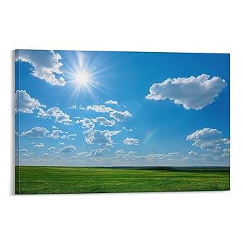 Amazon.co.jp: 絵画 澄んだ空と広大な草原 アートパネル
