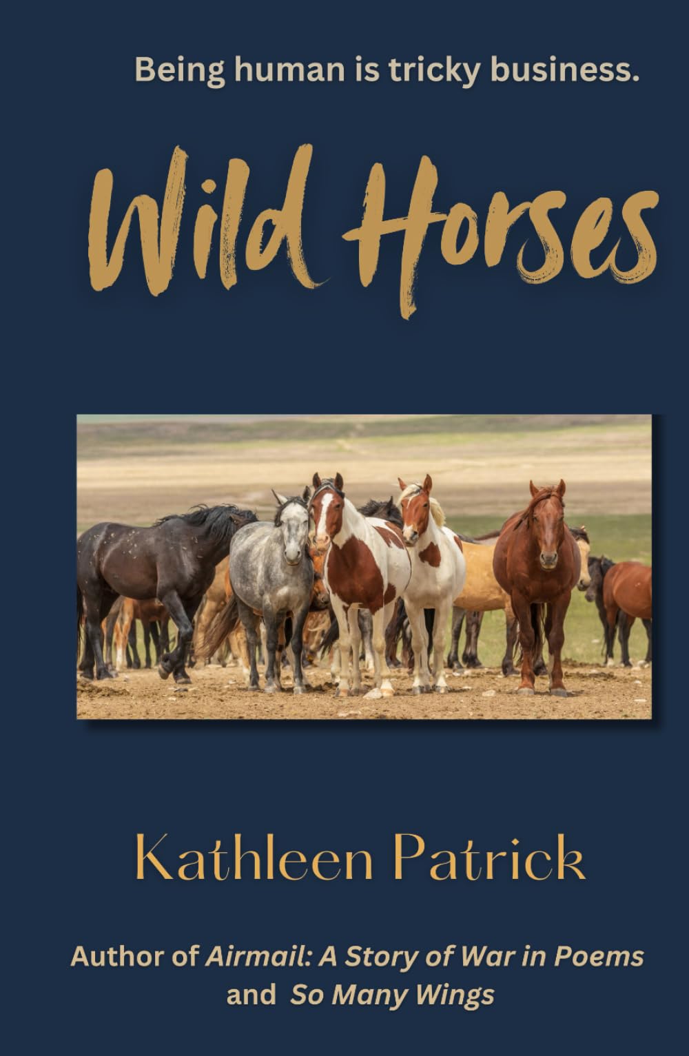 Wild Horses