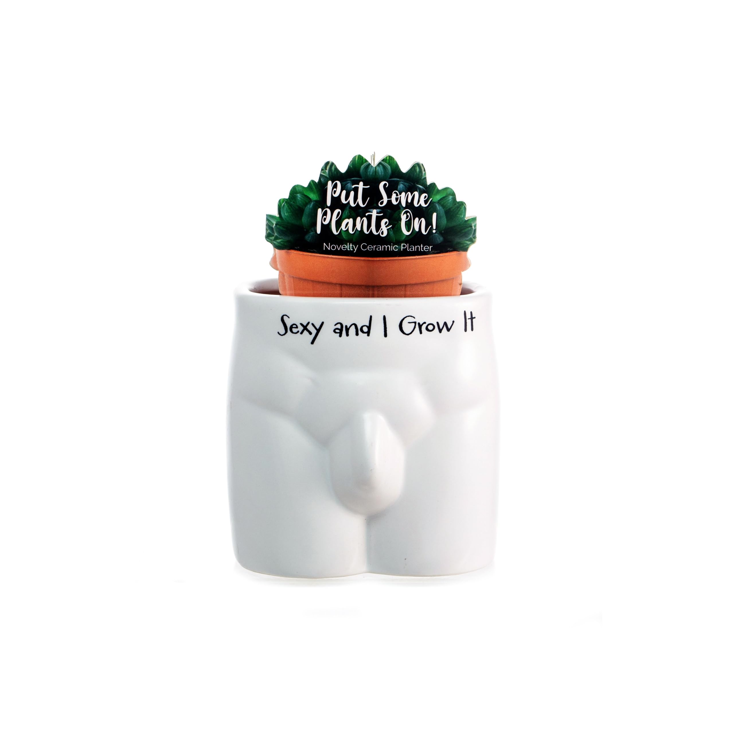 Boxer Gifts Always Look at My Prck Novelty Body Shaped Planter | Funny Rude Home Décor Gift, Ceramic, White,Black, One Size