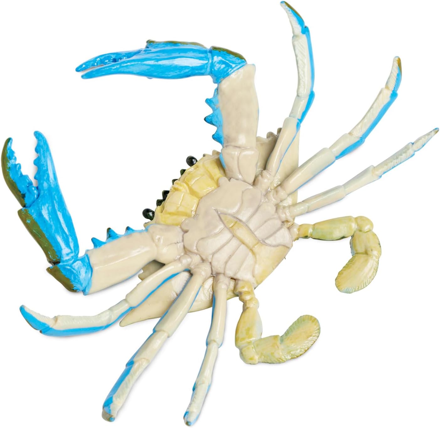 Safari Ltd. Blue Crab Figurine - Realistic 7" Model Figure - Educational Toy for Boys, Girls, and Kids Ages 18M+