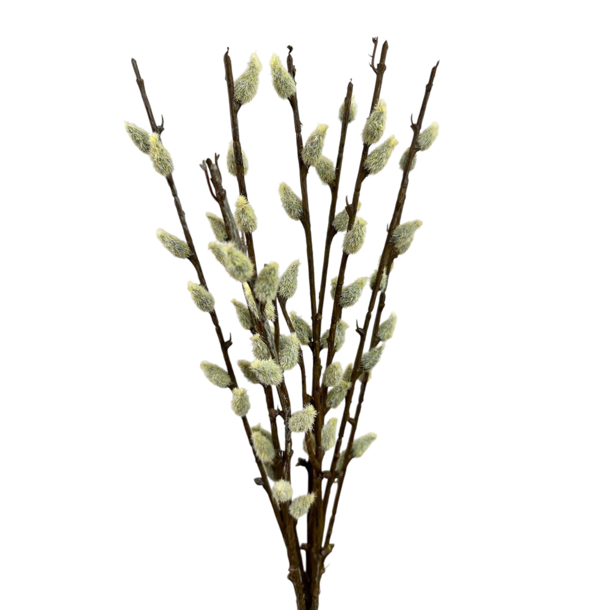 Künstlicher Weidenkätzchen-Bund 42 cm – Palmkätzchen Zweige für Frühlingsdekoration & Osterdeko – Deko Zweige für Vase & Kranz
