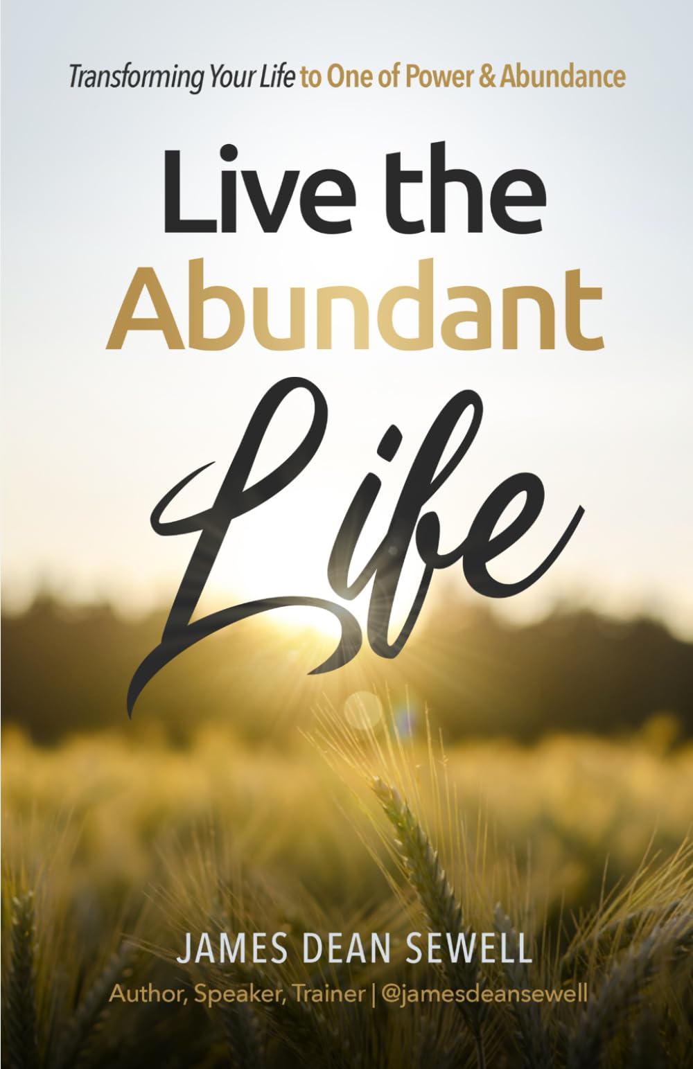 Live the Abundant Life: Transforming Your Life to One of Power & Abundance