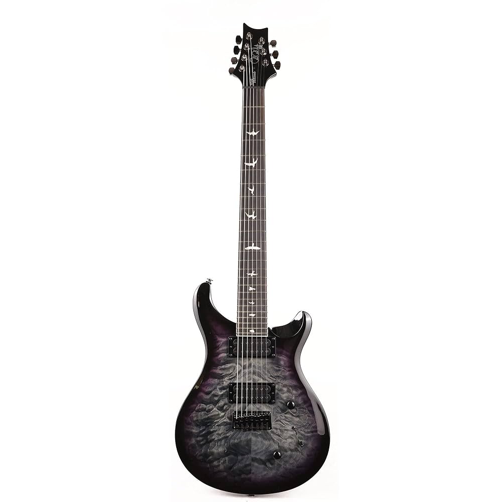 ※限定値下げ※Paul Reed Smith Mark Holcomb SVN PRS SE Mark Holcomb SVN, Holcomb Burst : Amazon.pl
