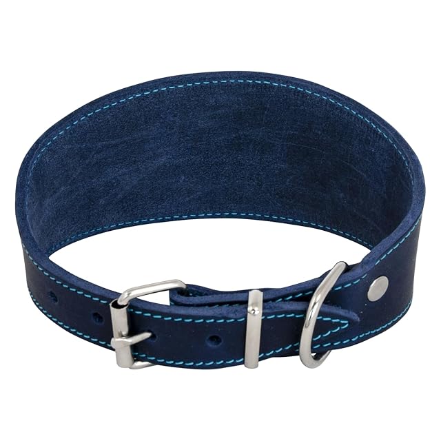 JACK AND VANILLA, Collar de Piel para Perros, para Galgos, cómodo y Duradero, Hebilla Segura, Ajustable