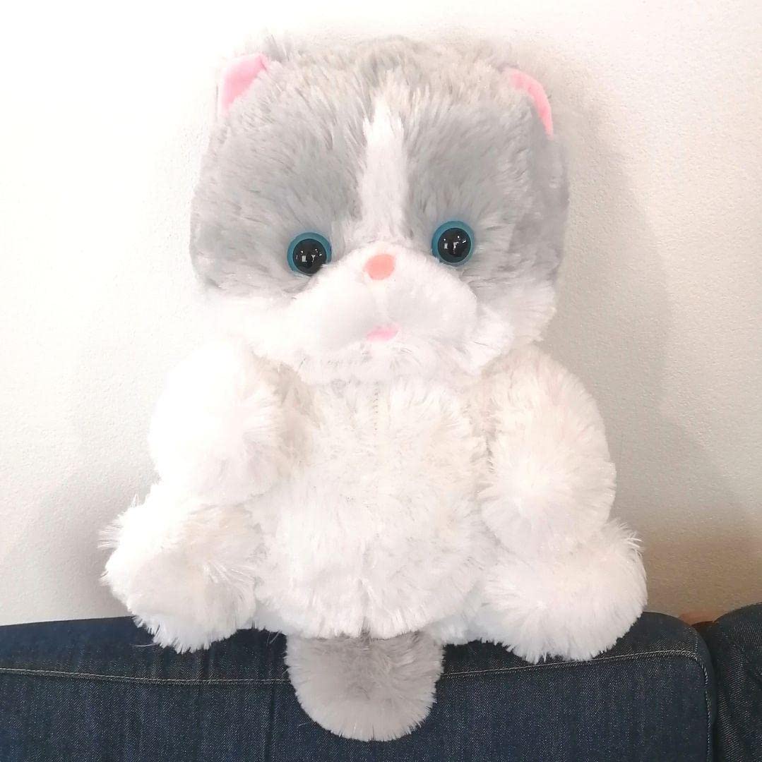 ねこまる Amazon.co.jp: ぽちゃねこまる BIG ぬいぐるみ ましゅまろ 猫