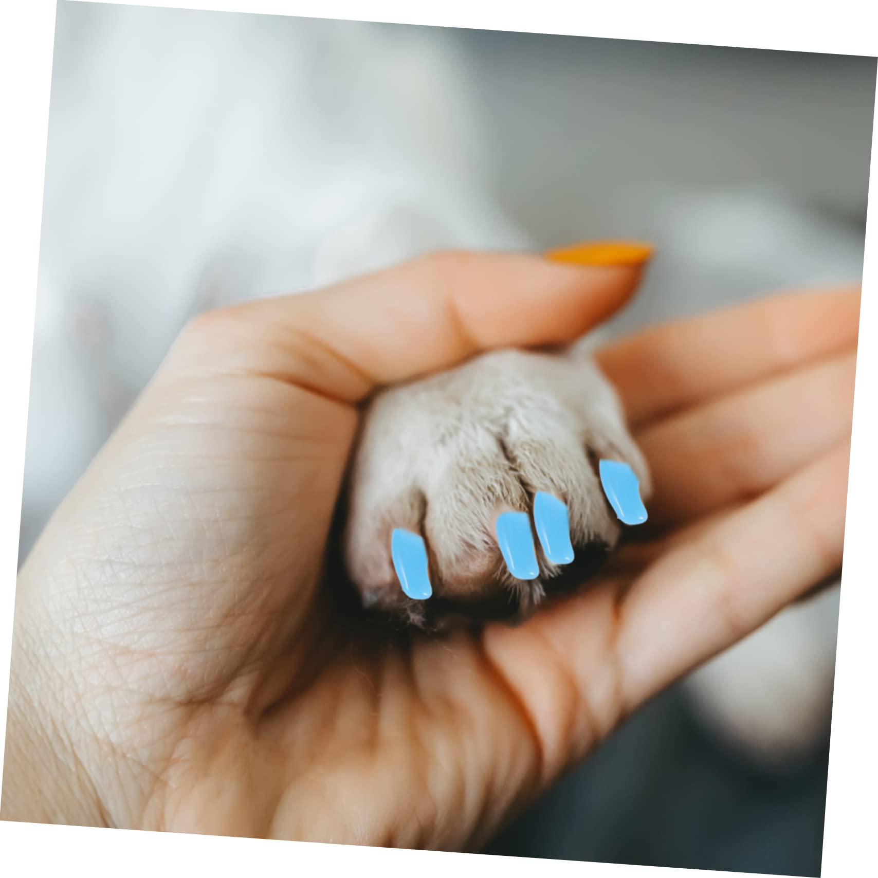Housoutil 50 Juegos De Kit De Uñas para Gatos Garras para Mascotas Garras De Gato con Pegamento Puntas De Uñas para Gatos Cubiertas De Silicona para Uñas De Gato Tapas para Garras