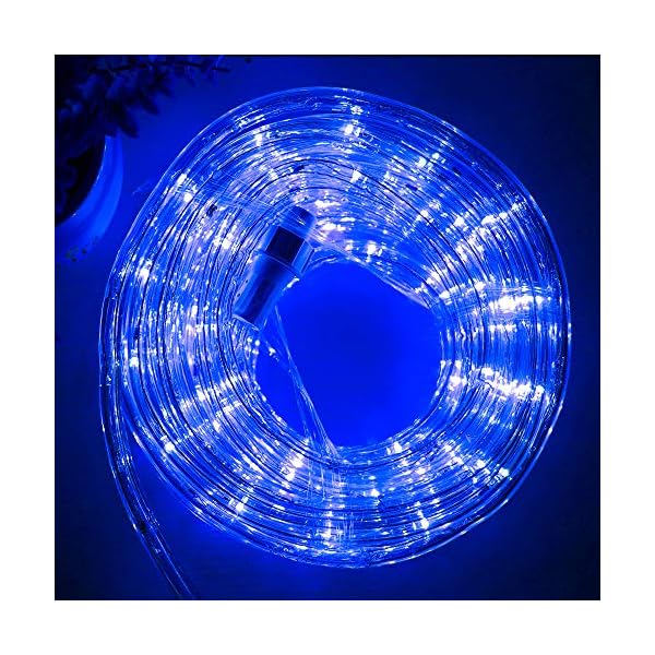 Dingfu 33ft led rope lights,110v 2 wire connectable christmas rope lights,240 led,waterproof indoor outdoor clear tube light rope for deck, patio, pool, camping, landscape lighting decorations