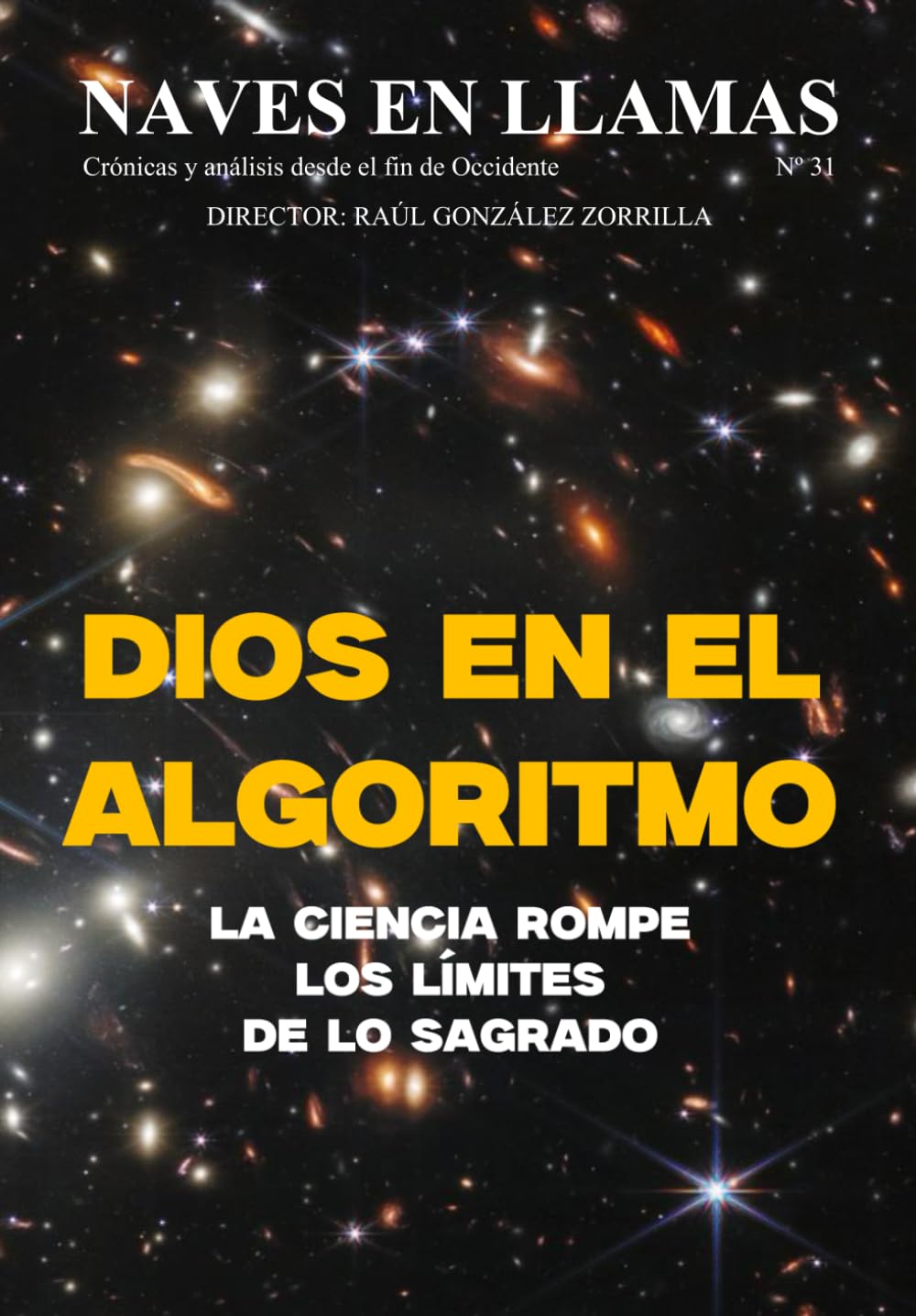 Revista Naves en Llamas Nº 31: Crónicas y análisis desde el fin de Occidente