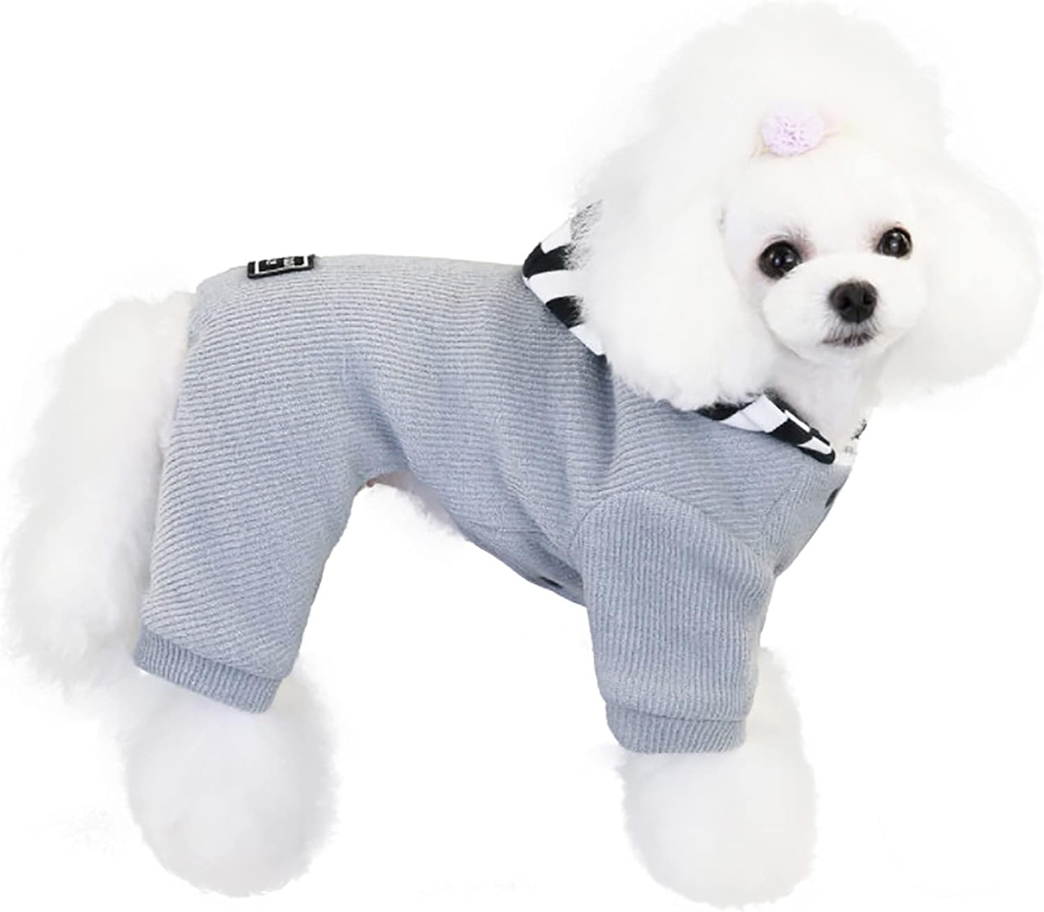 simple dog clothes