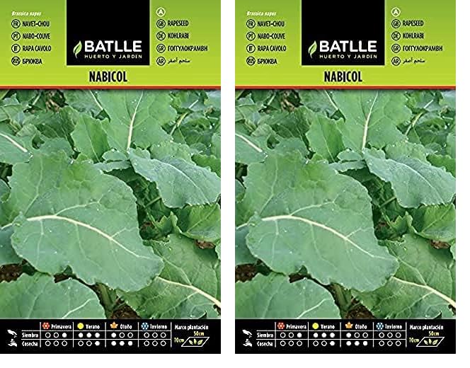 Semillas Batlle Nabicol, semillas para plantar (Paquete de 2)