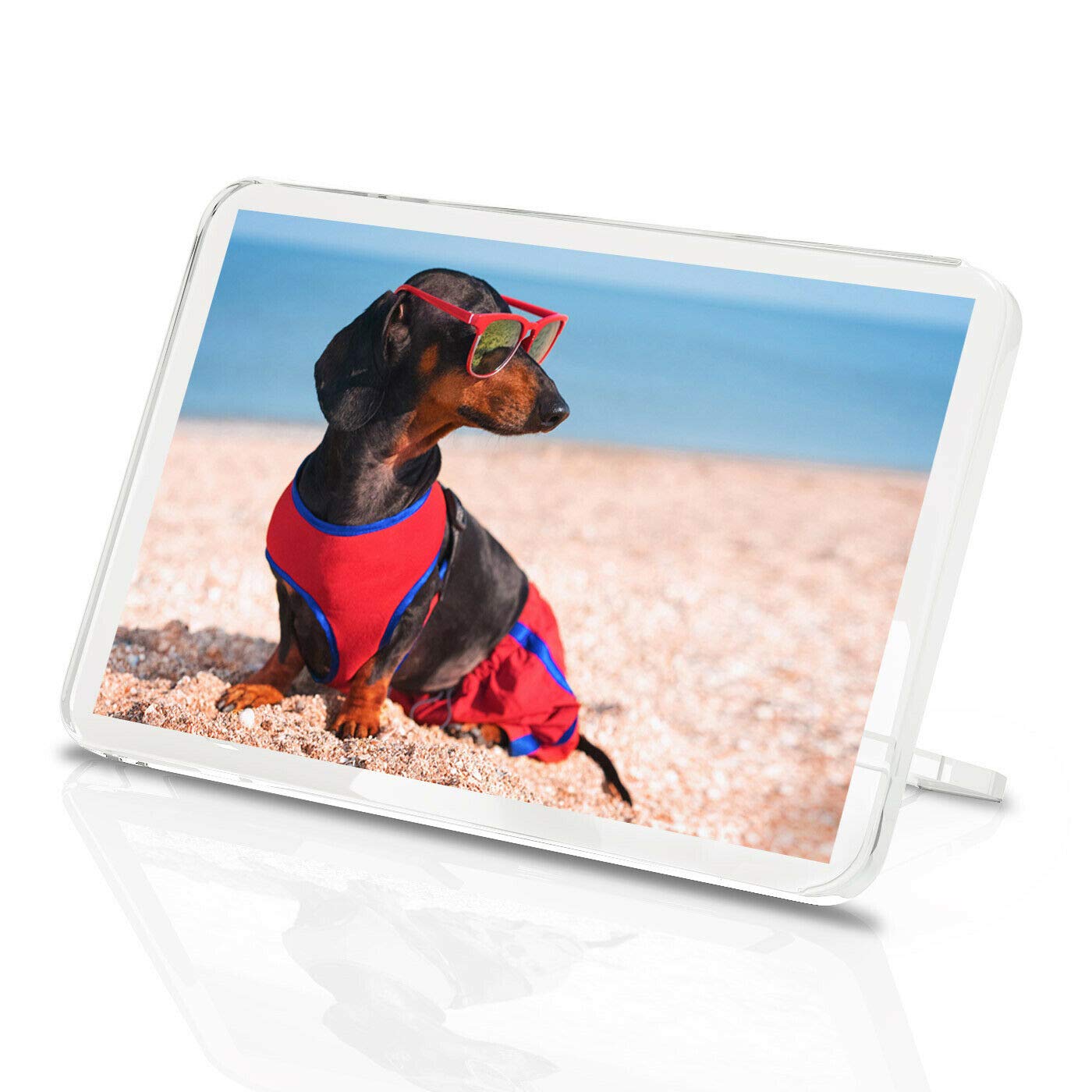 Destination Vinyl Magnets Multicolor Funny Dachshund Classic Fridge Magnet - Beach Sausage Dog Hound #14840