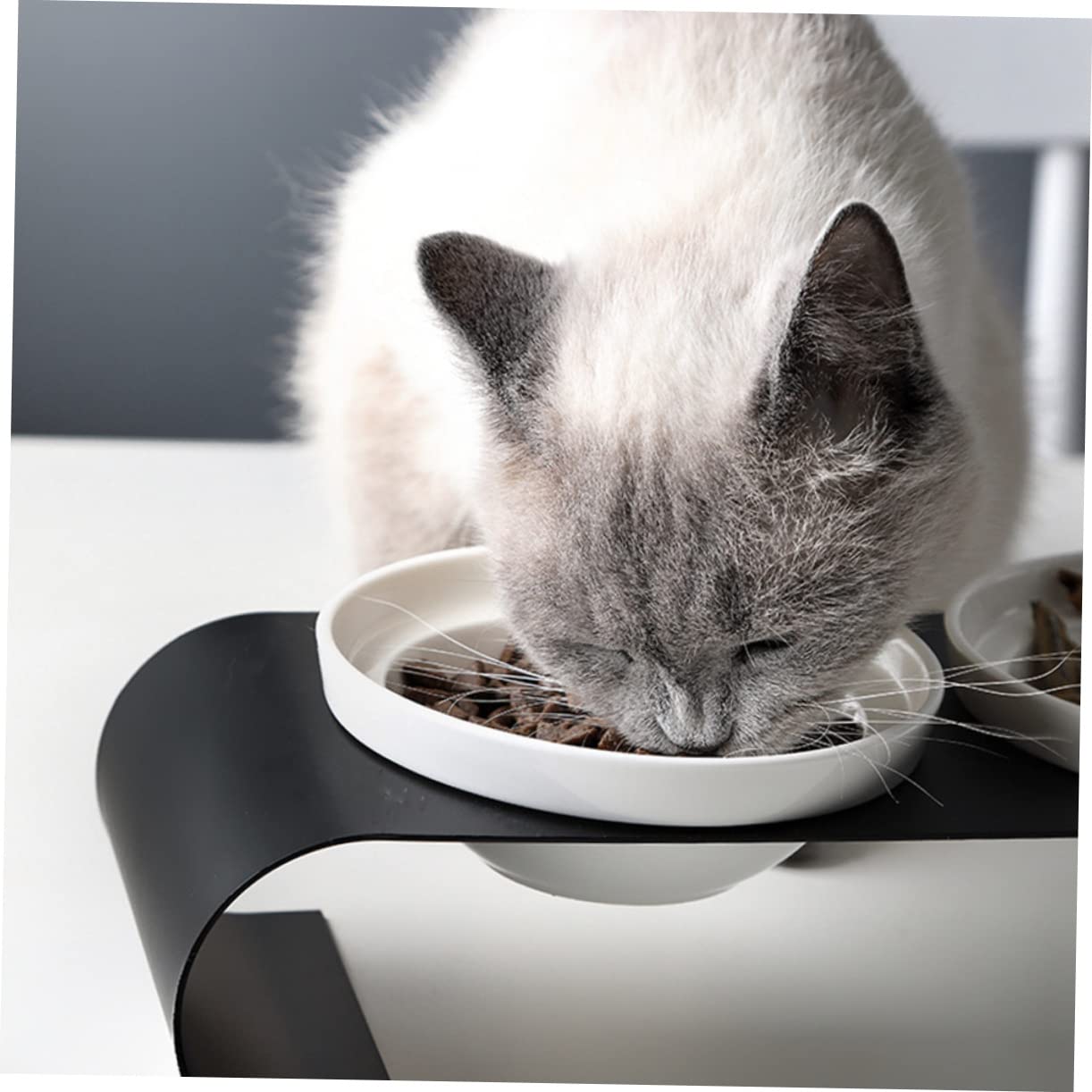 TOYANDONA Ciotola per Gatti Rialzata in Ceramica Doppia Ciotola e Supporto in Ferro, per Cibo Secco e Snack, per Gatti e Cani Piccoli