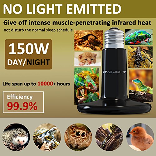 Best Bird Heater & Bird Warmer for Cages Lamps, Panels, Perches