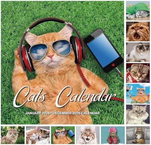 2026-wall-calendar-funny-cat-calendar-2026-january-2026-december
