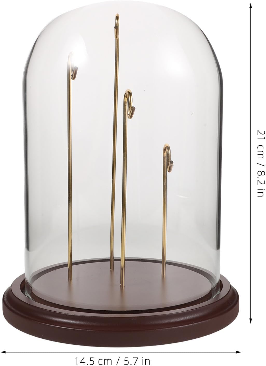 Glass Cloche Dome with Hook Small Watch Showcase Display