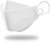 BOTN 10Pcs X-Large KF94 Protective and Safety Face Mask for Adult, 4-Layer Filter and 3D Design, Adjustable Strap and Premium Quality Made in Korea White