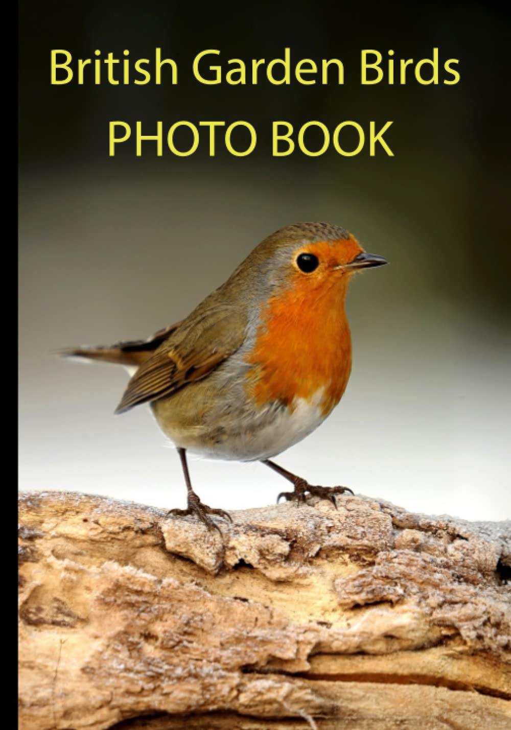 Buy British Garden Birds Photo Book 40 Different Bird Photos With