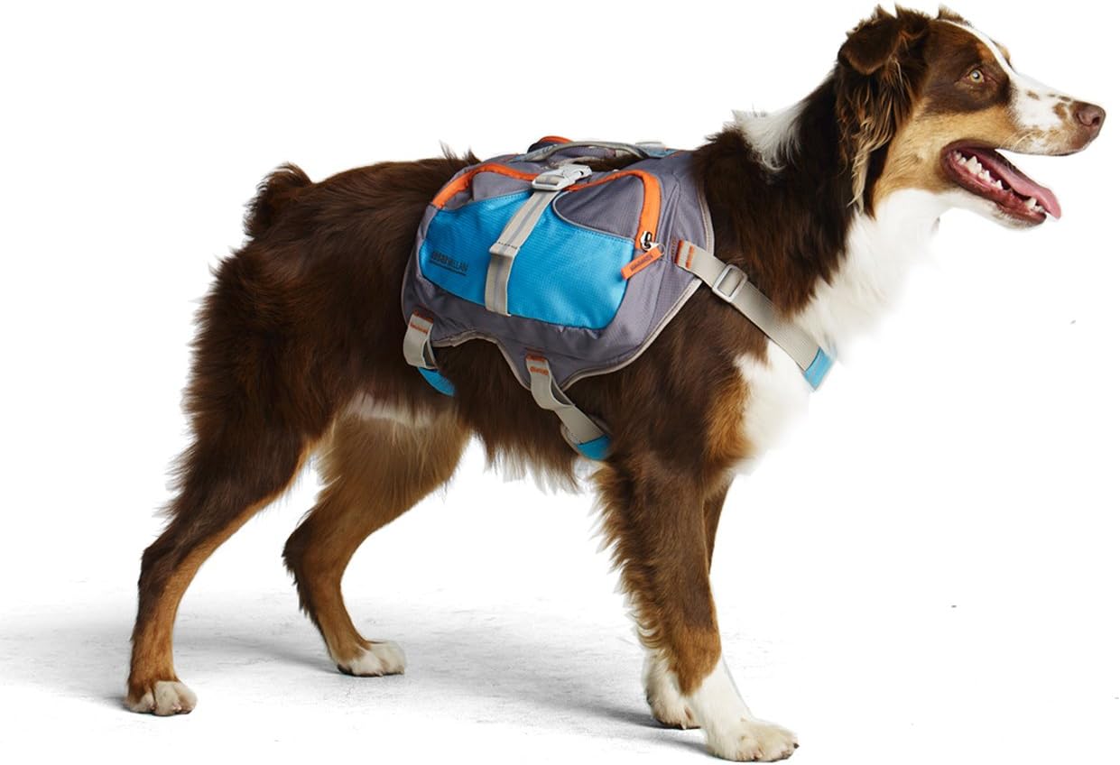 Cesar Millan Small Dog Backpack: Ideal Pet Carrier Solution Cesar Millan Small Dog Backpack: Ideal Pet Carrier Solution